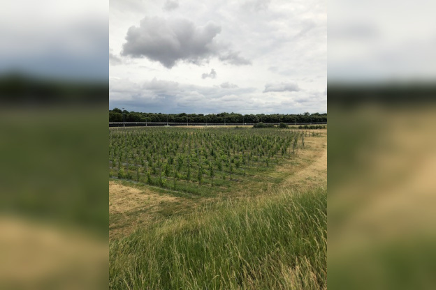 2ème édition du Viti-trail de 10 km du Domaine de Paris Gravelle Dimanche 6 septembre 2026