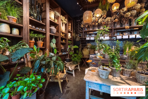 Mégie, la cantine botanique, boutique et atelier floral - photos