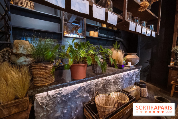 Mégie, la cantine botanique, boutique et atelier floral - photos