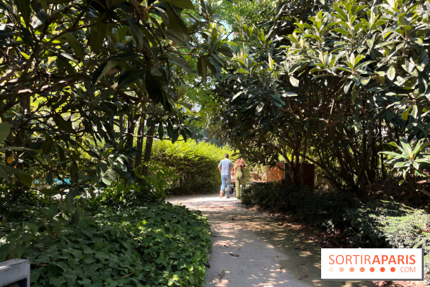 Le Jardin Claire Motte, square secret dans le 17e arrondissement