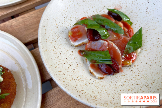 Ethanol - Carpaccio thon brûlé