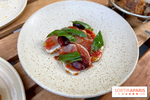 Ethanol - Carpaccio thon brûlé