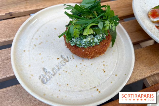 Ethanol - Croquettes de rillettes