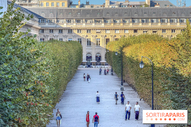 Visuels Conseil Constitutionnel