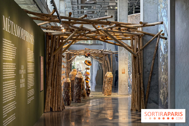 Maison Michel 19M, l'exposition mode gratuite dédiée aux chapeaux à la Galerie du 19M