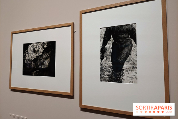 Photographies japonaises de la BnF - nos photos de l'exposition