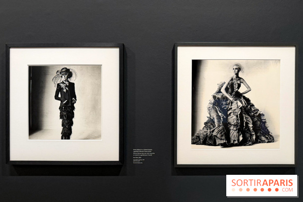 Irving Penn