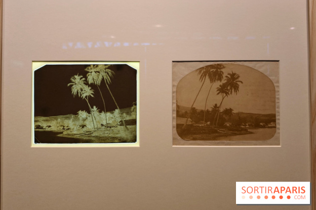 Voir Tahiti : une exposition qui dévoile les premières photos du XIXe siècle au musée du Quai Branly