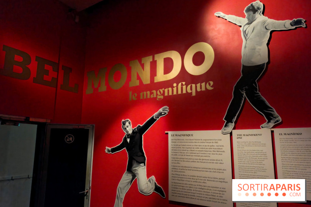 Belmondo le magnifique : l'icône du cinéma français au cœur d'une exposition à la Cinémathèque