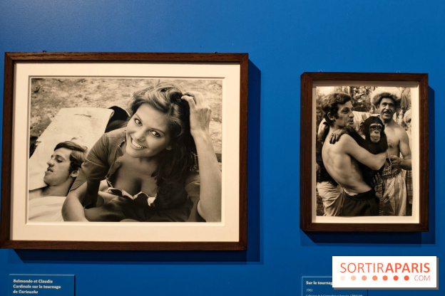 Belmondo le magnifique : l'icône du cinéma français au cœur d'une exposition à la Cinémathèque