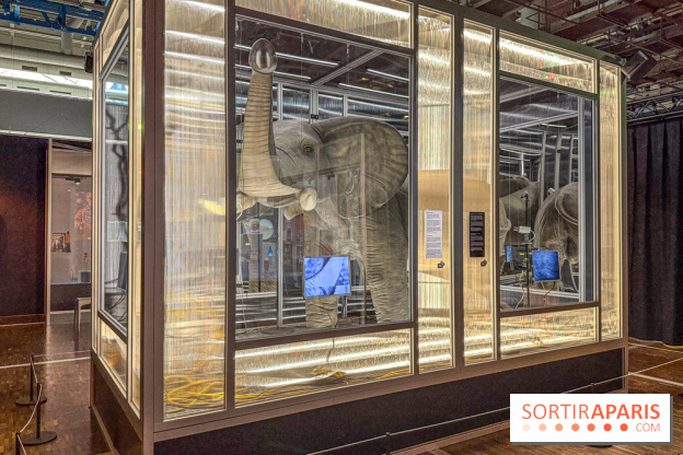 Magie à la Cité des sciences, l'expo qui explique pourquoi on se fait avoir