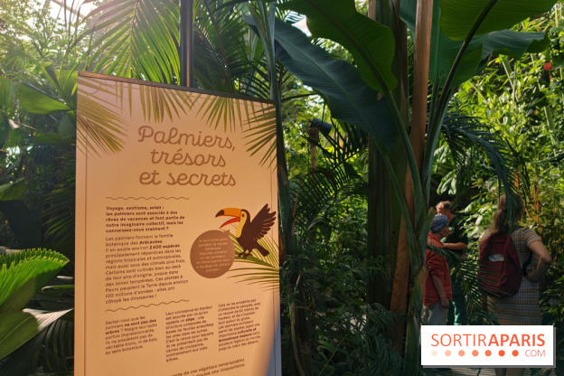 Automne tropical 2026