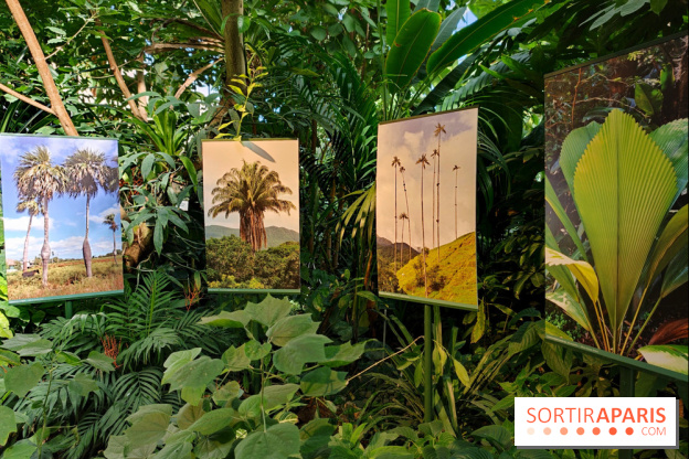 Automne tropical 2026