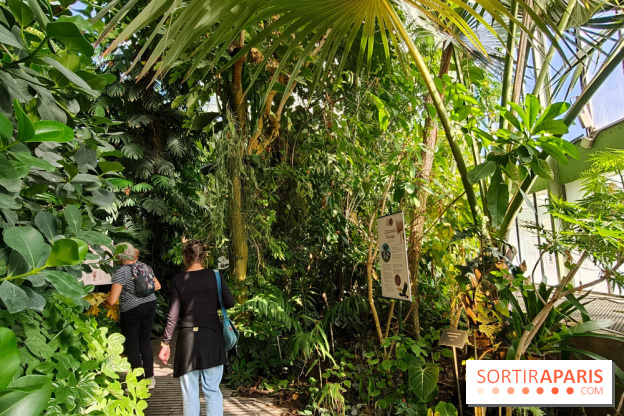 Automne tropical 2026