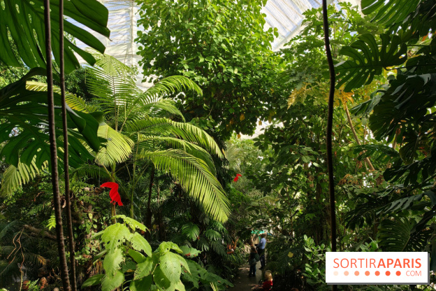 Automne tropical 2026