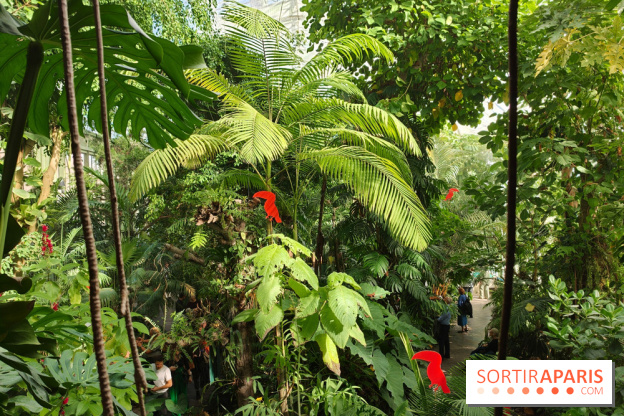 Automne tropical 2026