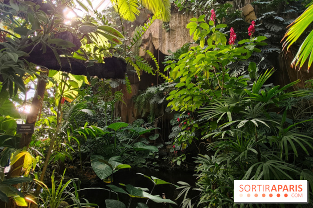 Automne tropical 2026