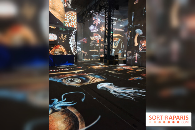 Plongez à la découverte de Planète Océan, l’exposition immersive de l’Atelier des Lumières