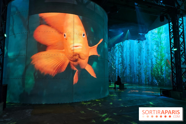 Plongez à la découverte de Planète Océan, l’exposition immersive de l’Atelier des Lumières