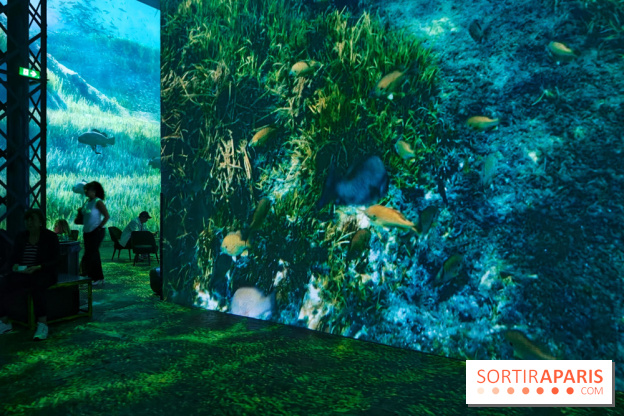 Plongez à la découverte de Planète Océan, l’exposition immersive de l’Atelier des Lumières