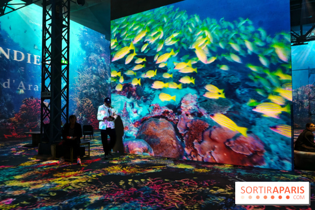 Plongez à la découverte de Planète Océan, l’exposition immersive de l’Atelier des Lumières