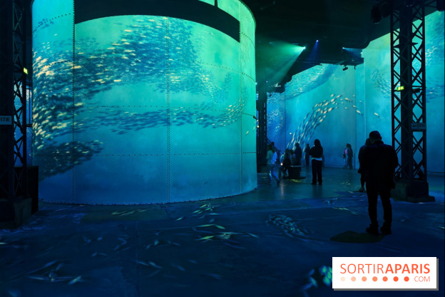 Plongez à la découverte de Planète Océan, l’exposition immersive de l’Atelier des Lumières