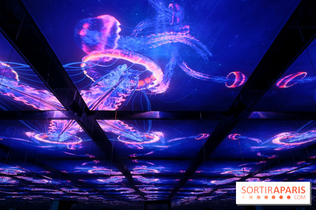 Plongez à la découverte de Planète Océan, l’exposition immersive de l’Atelier des Lumières