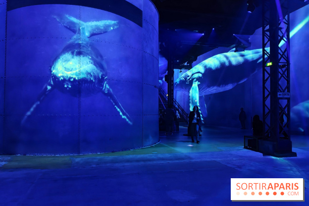 Plongez à la découverte de Planète Océan, l’exposition immersive de l’Atelier des Lumières