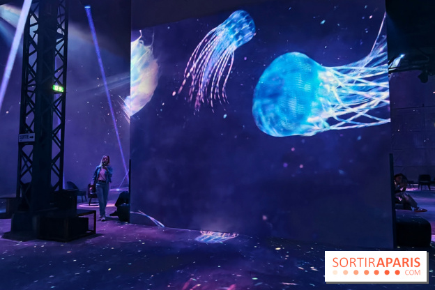 Plongez à la découverte de Planète Océan, l’exposition immersive de l’Atelier des Lumières