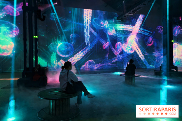Plongez à la découverte de Planète Océan, l’exposition immersive de l’Atelier des Lumières
