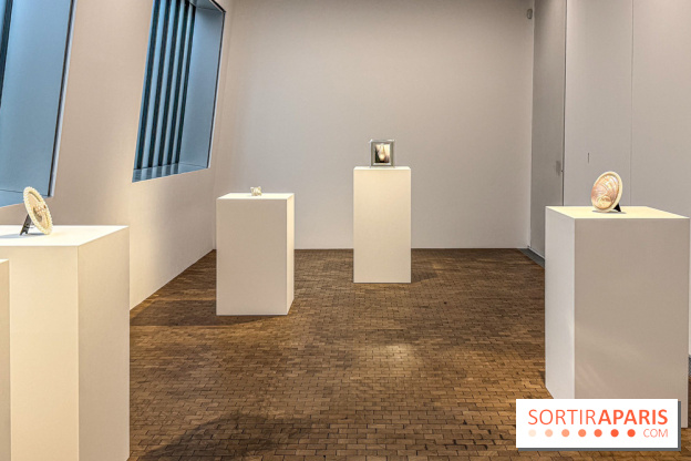 Hélène Fauquet : Vivresse, l’exposition entre bulles et coquillages à Lafayette Anticipations.
