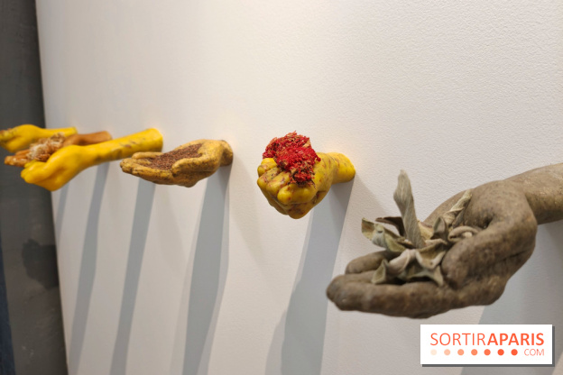 Semons nos résistances : l'exposition engagée à découvrir gratuitement au Maif Social Club