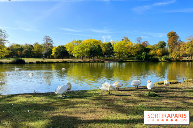 Les îles du Lac Daumesnil, une escapade dans le 12e arrondissement de Paris