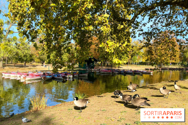 Les îles du Lac Daumesnil, une escapade dans le 12e arrondissement de Paris