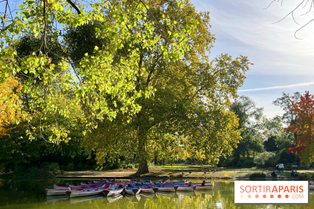 Les îles du Lac Daumesnil, une escapade dans le 12e arrondissement de Paris