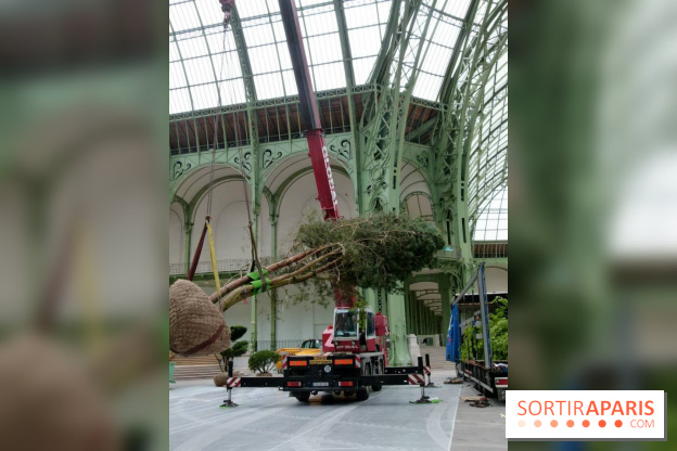 L'art du Jardin au Grand Palais