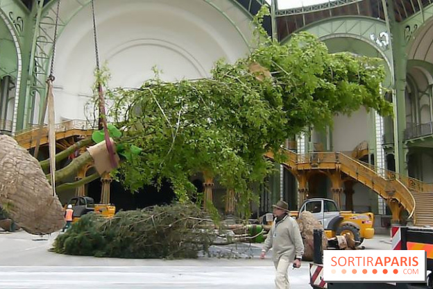 L'art du Jardin au Grand Palais