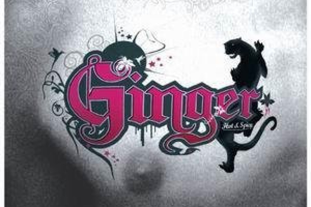 GINGER – Hot & spicy !