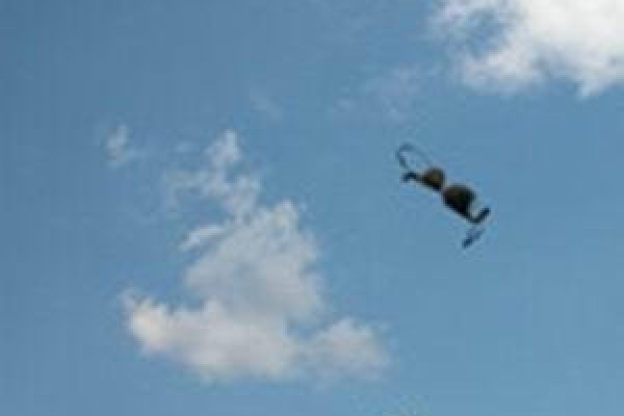 ROSEBUD/ ENJOY/ KONSTANTINE