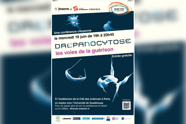 Santé en Questions