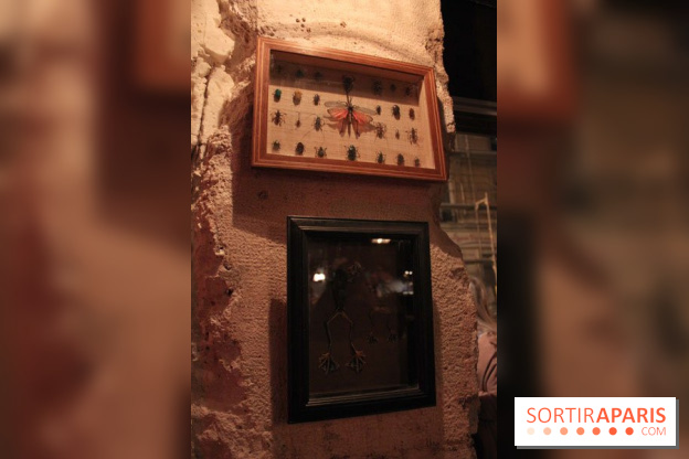 Restaurant : Le Cabinet de sa Majesté