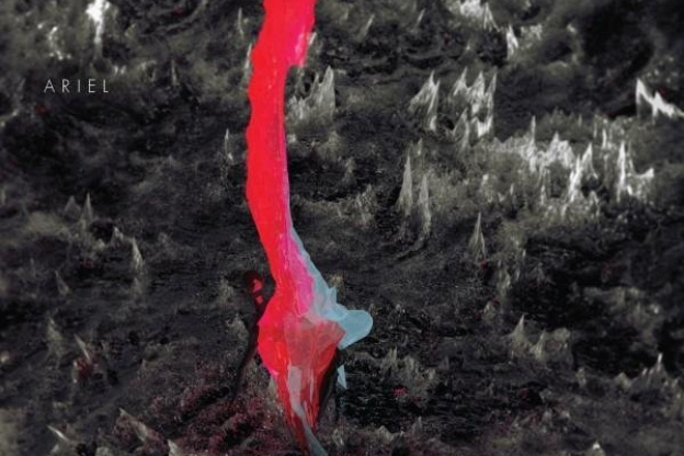 Stateless, Sayem, Blackjoy, EDH et Hypo, Fleche d'or