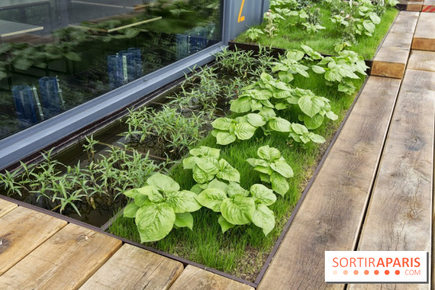 Les nouvelles Berges de Paris