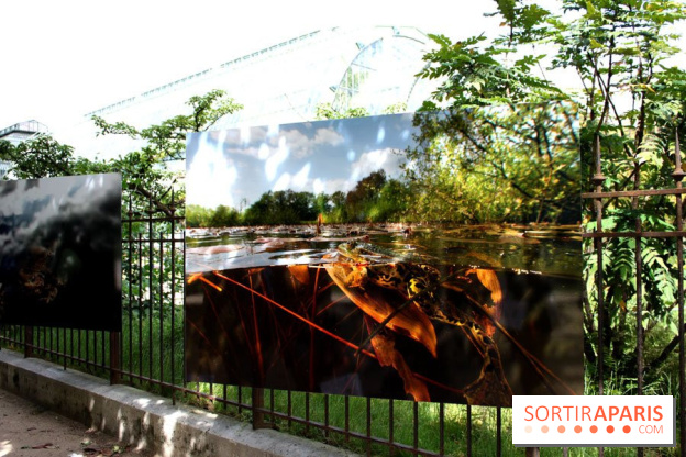 Exposition Planète Grenouille par Cyril Ruoso au Jardin des Plantes