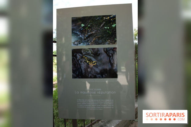 Exposition Planète Grenouille par Cyril Ruoso au Jardin des Plantes