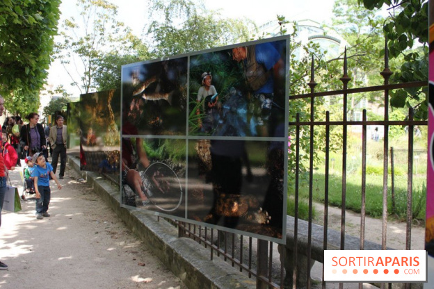 Exposition Planète Grenouille par Cyril Ruoso au Jardin des Plantes