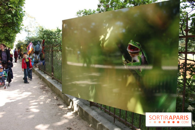 Exposition Planète Grenouille par Cyril Ruoso au Jardin des Plantes