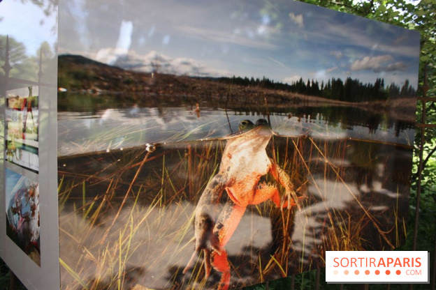 Exposition Planète Grenouille par Cyril Ruoso au Jardin des Plantes