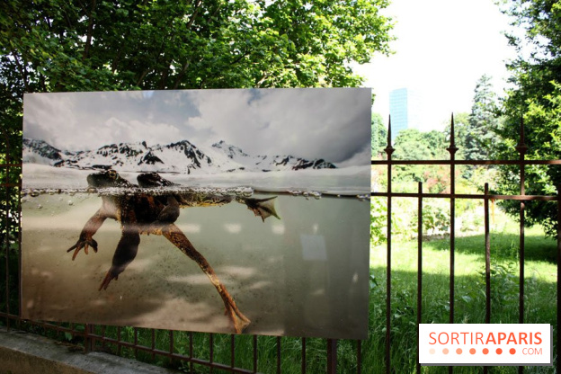 Exposition Planète Grenouille par Cyril Ruoso au Jardin des Plantes