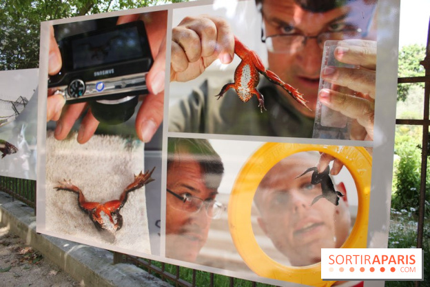 Exposition Planète Grenouille par Cyril Ruoso au Jardin des Plantes